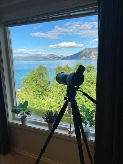Fantastic View, Quiet And Relaxing By The Sea Villa Kvaloya Luaran gambar