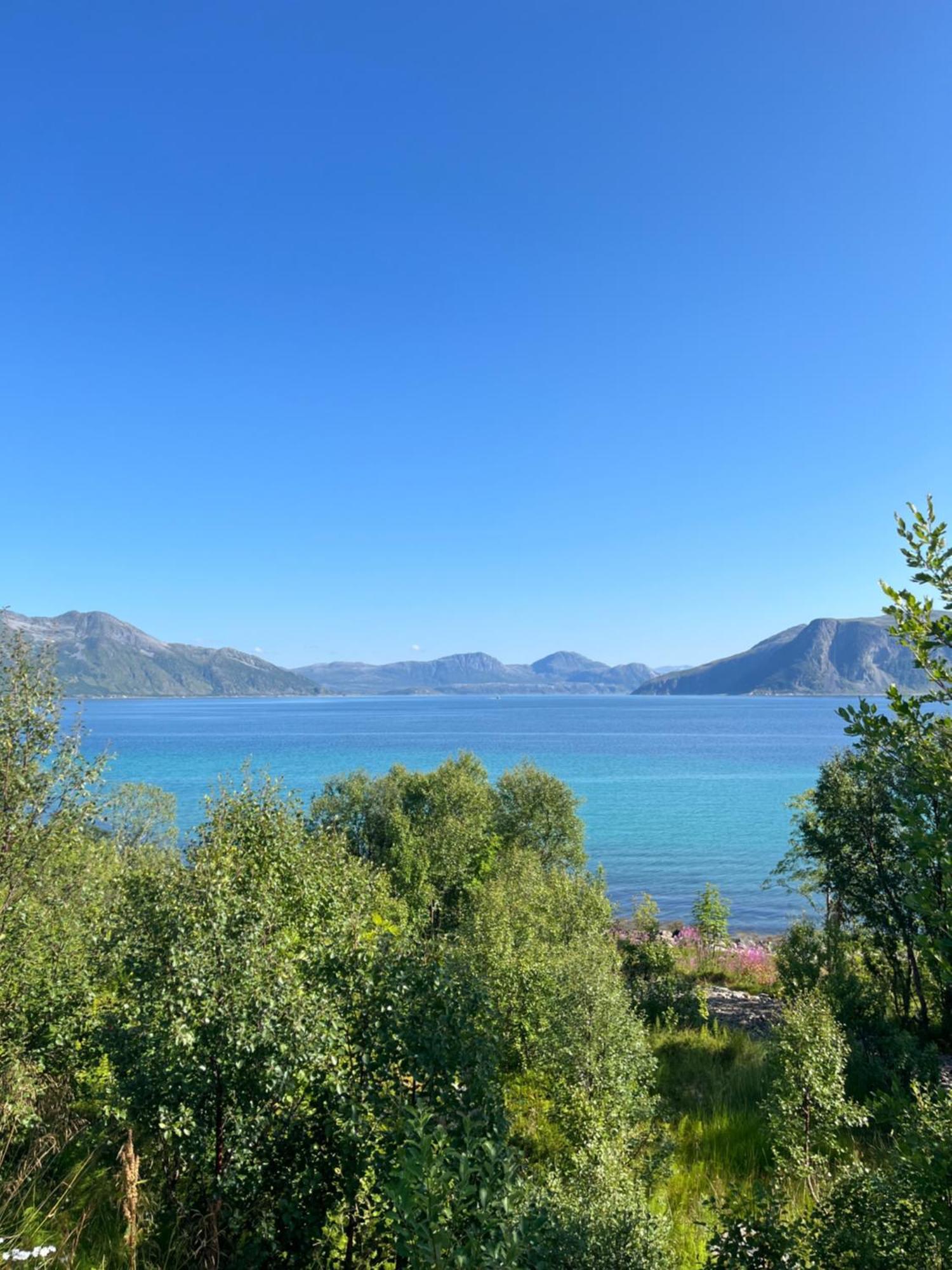 Fantastic View, Quiet And Relaxing By The Sea Villa Kvaloya Luaran gambar